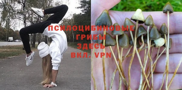 кокаин перу Каменка